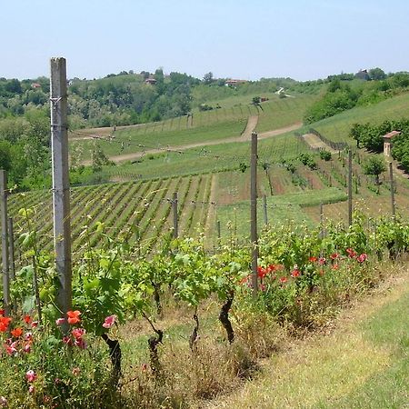 Cascina Rollone Villa Rocchetta Tanaro Екстериор снимка