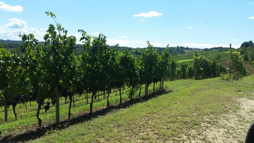 Cascina Rollone Villa Rocchetta Tanaro Екстериор снимка