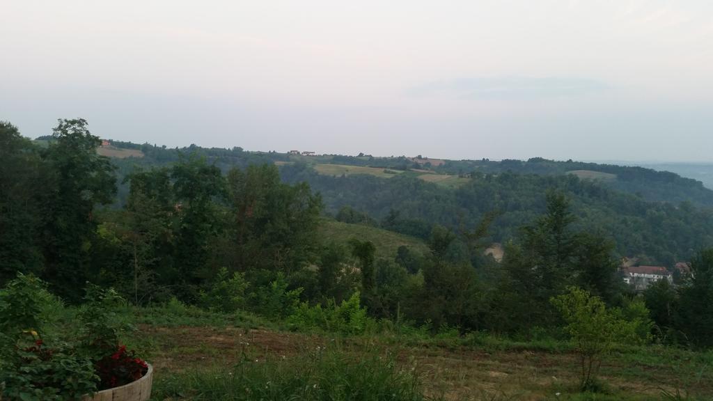 Cascina Rollone Villa Rocchetta Tanaro Екстериор снимка